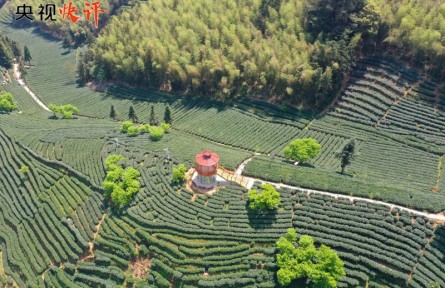 央視快評(píng)：保護(hù)農(nóng)業(yè)文化遺產(chǎn)是人類共同的責(zé)任