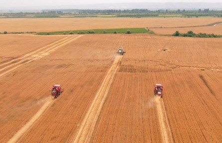 來(lái)之不易的好收成——三晉大地穩(wěn)糧奪豐收新觀察