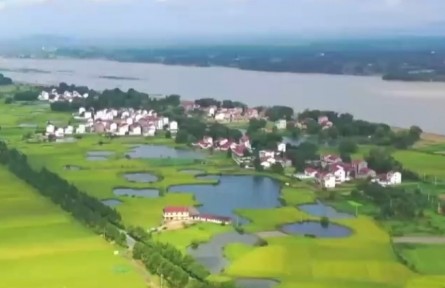 江西鄱陽(yáng)：迎來(lái)“雙搶季” 數(shù)字智能助力豐產(chǎn)增產(chǎn)