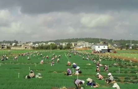 云南：穩(wěn)住重點(diǎn)人群收入 全力兜牢民生底線