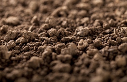 科技名詞 | 土壤質量  soil quality