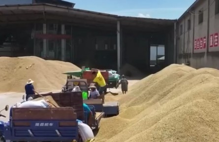 江西：金融機(jī)構(gòu)加大力度支持早稻收購