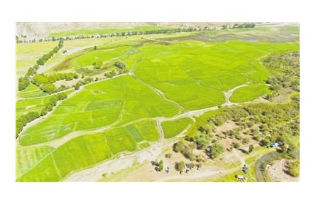 科技滋養(yǎng)雪域高原 西藏高質量發(fā)展勁頭十足