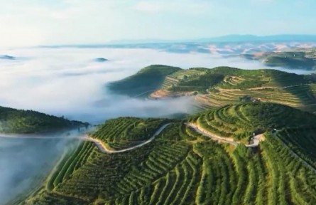 【奮進(jìn)新征程 建功新時代·非凡十年】奮力譜寫現(xiàn)代化美麗新寧夏壯麗篇章