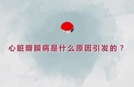 健康問(wèn)答 | 心臟瓣膜病是什么原因引發(fā)的？如何精準(zhǔn)治療？