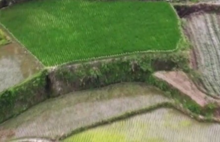 【解碼十年】開啟人與自然和諧共生新篇章