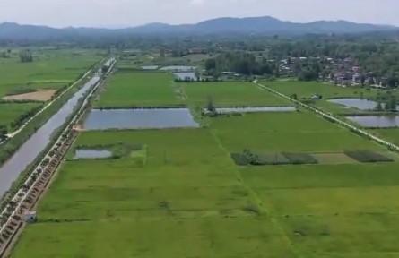 湖北97.3萬干部群眾奮戰(zhàn)在抗旱一線 投入抗旱資金6億多元