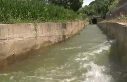 江西南昌：高溫致稻田干旱 科學管水放水保水源供應