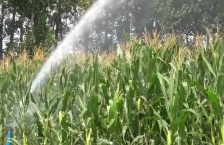 各地多措并舉保秋糧生產(chǎn)