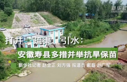 打井、疏渠、引水：安徽壽縣多措并舉抗旱保苗