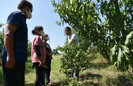 河北石家莊：農(nóng)業(yè)專家下田間 解疑答惑傳技術