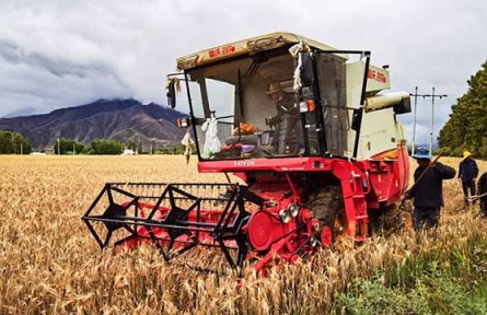 落實落細關(guān)鍵舉措 筑牢秋糧穩(wěn)產(chǎn)基礎(chǔ)