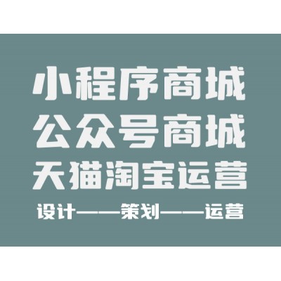 電商平臺、網(wǎng)站、公眾號商城搭建