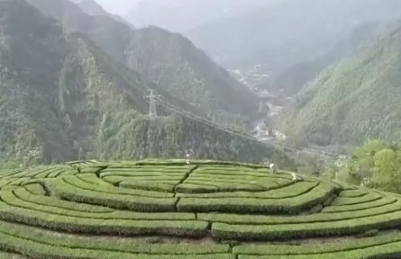 湖北：技術(shù)下鄉(xiāng) 服務(wù)下沉 助力災(zāi)后田管