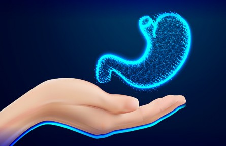 胃越撐越大、越餓越小是真的嗎？