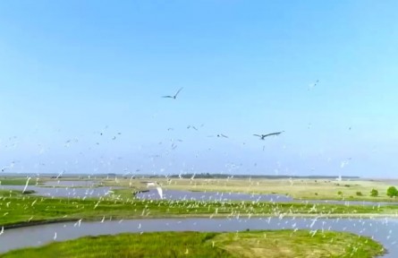 最高法：用最嚴(yán)格制度最嚴(yán)密法治保護(hù)生態(tài)環(huán)境