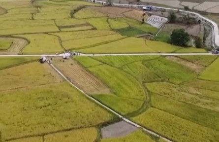 中國農(nóng)民豐收節(jié) 補(bǔ)足機(jī)收短板 助力顆粒歸倉