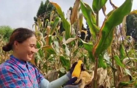 理響巴蜀 | 始終堅(jiān)持人民至上