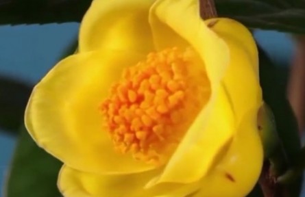 廣西：促進(jìn)生物多樣性保護(hù) 建設(shè)萬(wàn)物和諧共生家園