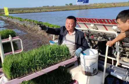 黑龍江延壽：趕上好時(shí)代，更要種好咱的黑土地！