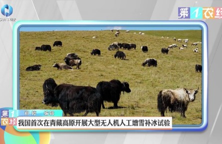 我國首次在青藏高原開展大型無人機(jī)人工增雪補(bǔ)冰試驗
