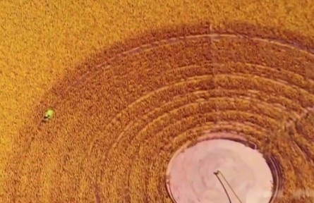 【數(shù)字十年】中國(guó)人把飯碗牢牢端在自己手中