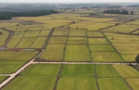 我國(guó)加快推進(jìn)高標(biāo)準(zhǔn)農(nóng)田建設(shè)