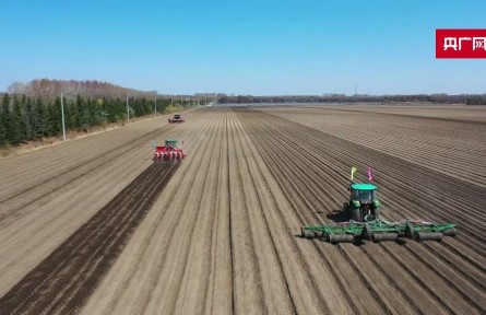 黑龍江省糧食生產(chǎn)實現(xiàn)“十九連豐”