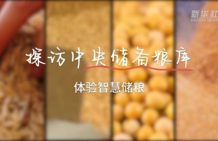 科普 | 看大國(guó)糧倉(cāng)如何智慧儲(chǔ)糧