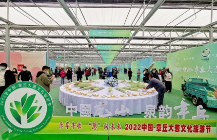 大蔥長得高，百姓生活好——山東章丘大蔥收獲見聞