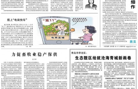 夯實國家糧食儲備根基