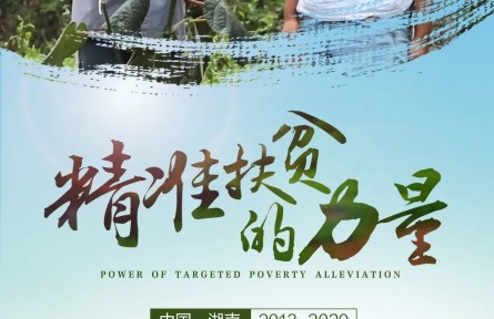 雙語紀(jì)錄片|《精準(zhǔn)扶貧的力量》②：菖蒲塘村 種上水果心不慌