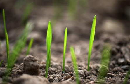 立冬：蓄能積勢(shì)，孕育未來