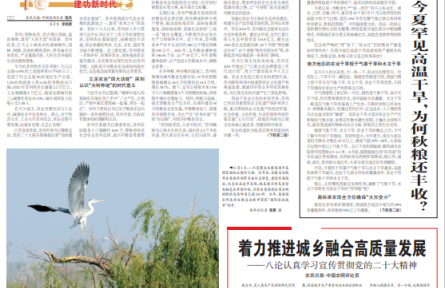 今夏罕見(jiàn)高溫干旱，為何秋糧還豐收？