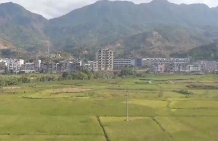 全國(guó)秋收完成97.6% 各地采取多項(xiàng)措施推進(jìn)秋種工作