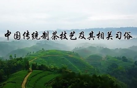 人類非物質文化遺產(chǎn)——中國傳統(tǒng)制茶技藝及其相關習俗