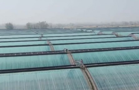 應(yīng)對(duì)寒潮 沿海各地多措施保生產(chǎn)