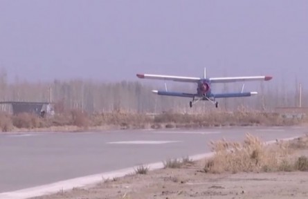 5萬畝“樹種球”飛播試驗(yàn)造林在新疆塔克拉瑪干沙漠實(shí)施