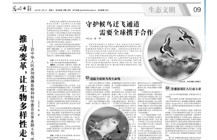 推動變革，讓生物多樣性走上復(fù)蘇之路