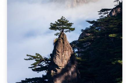 王勃：老當(dāng)益壯，寧移白首之心；窮且益堅(jiān)，不墜青云之志