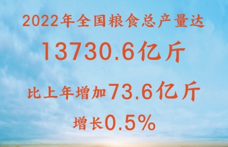 增產(chǎn)豐收！2022年全國(guó)糧食總產(chǎn)量達(dá)13730.6億斤