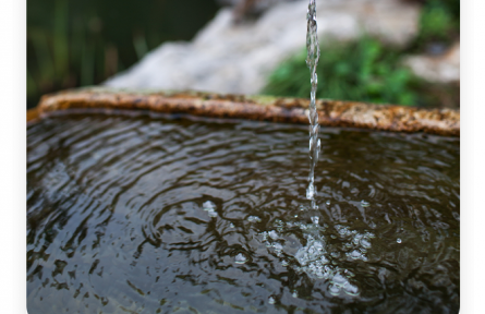 名言 | 荀子：真積力久則入，學至乎沒而后止也