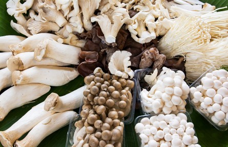 辟謠 | 市場上買的蘑菇真有甲醛嗎？