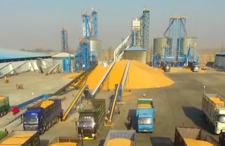 我國(guó)秋糧收購(gòu)進(jìn)入高峰 進(jìn)展總體順利