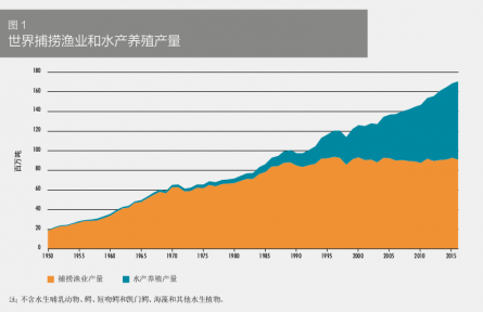 科普 | 在海洋中“放牧”——海洋如何變糧倉(cāng)？