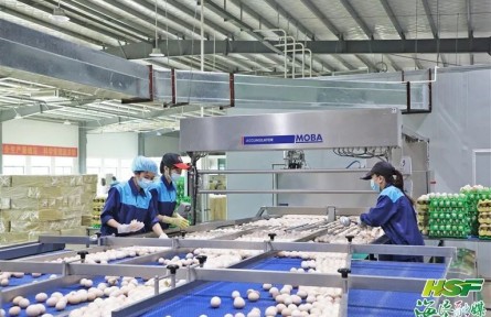 海南農墾：拎穩(wěn)“菜籃子” 全力保供應