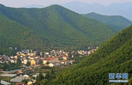 “為什么說(shuō)綠水青山就是金山銀山？”