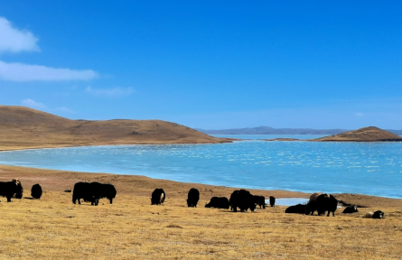 世界最大國(guó)家公園體系 world's largest national park system