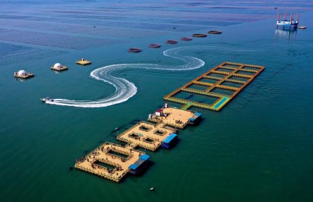 如何因地制宜踐行大食物觀？