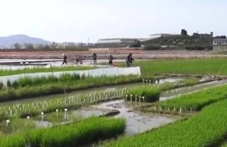 【新思想引領新征程】全方位夯實糧食安全根基